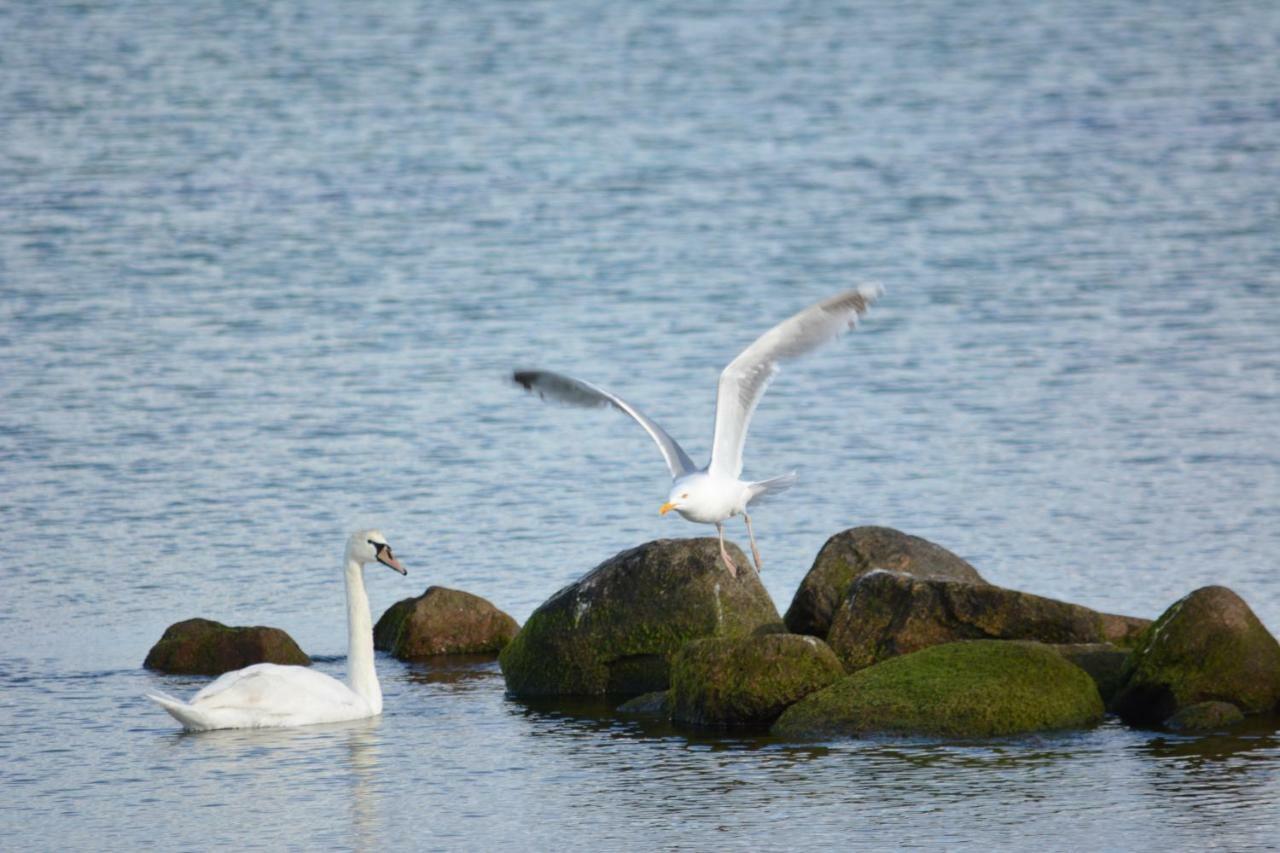 Apartmán Forsthaus Wendt Timmendorfer Strand Exteriér fotografie